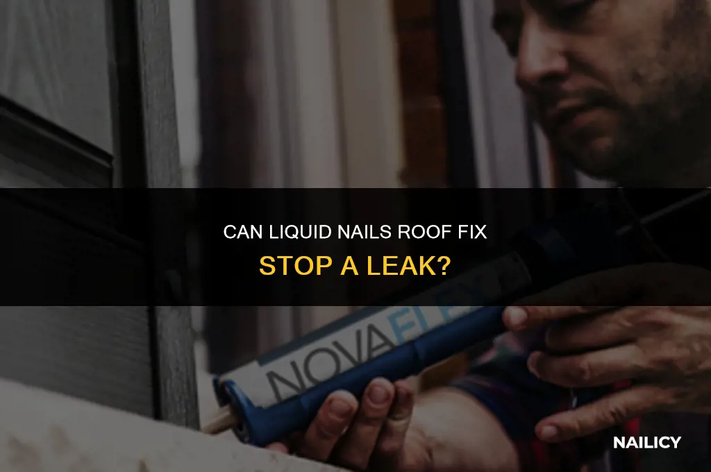 can liquid nails roof fix stop a leak