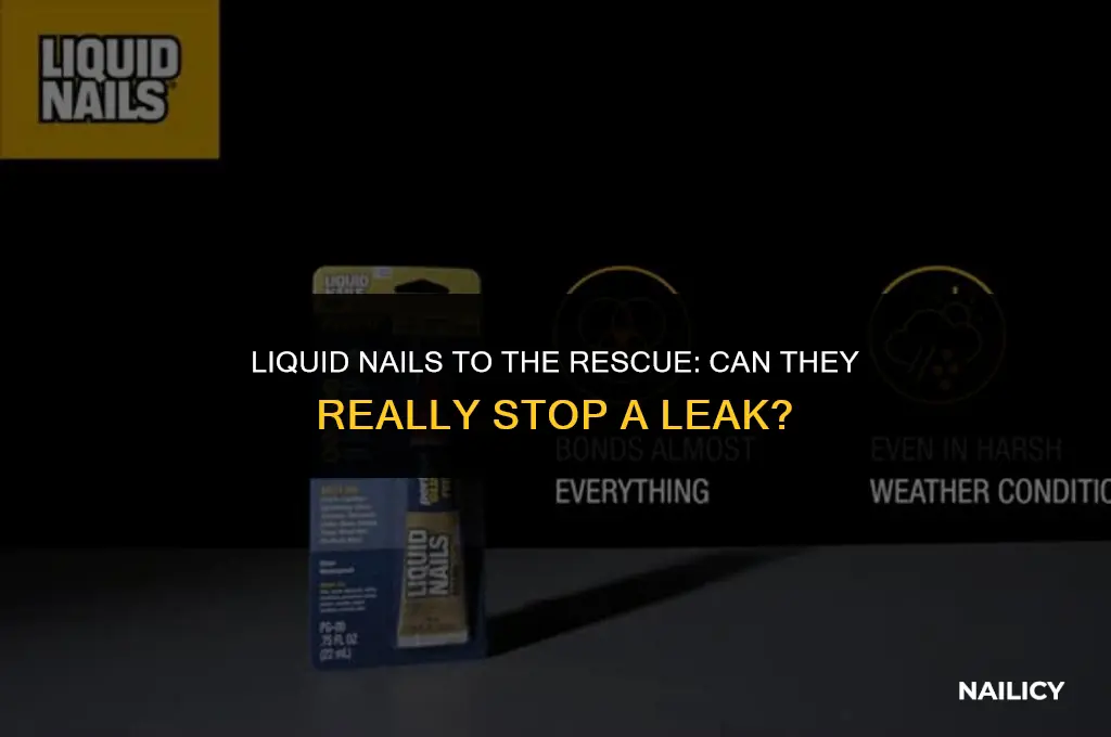 can liquid nails stop a leak