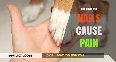 Can Long Dog Nails Cause Pain? Understanding Your Pet's Discomfort