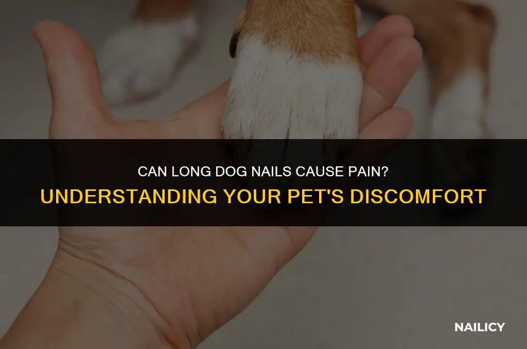 can long dog nails cause pain