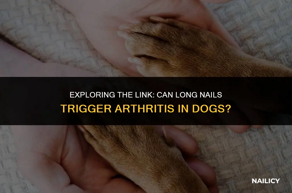 can long nails cause arthritis in dogs