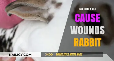 The Hidden Dangers of Long Nails for Rabbits: A Guide to Safe Grooming