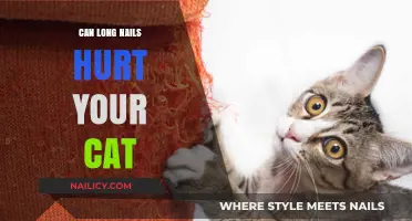 The Purr-fect Guide: Long Nails and Your Feline Friend