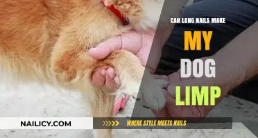 Can Long Nails Cause Limping in Dogs? A Pet Owner's Guide