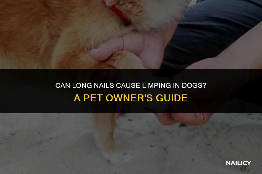 can long nails make my dog limp