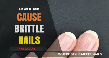 Brittle Nails and Low Estrogen: Understanding the Connection