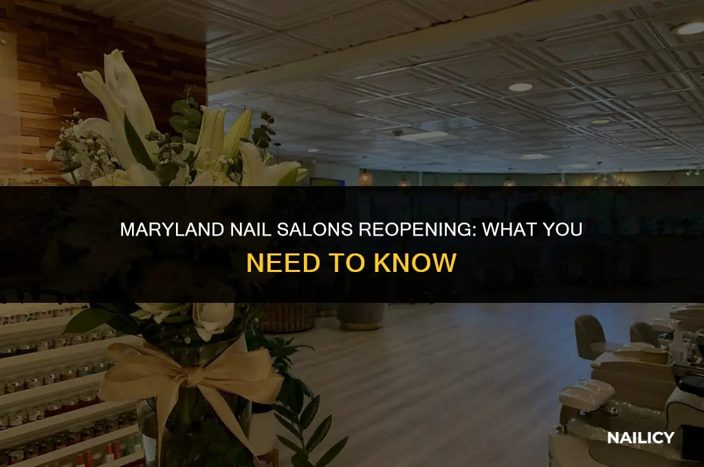 can maryland nail salons open