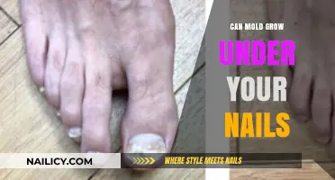 Unseen Growth: Can Mold Really Thrive Under Your Nails?