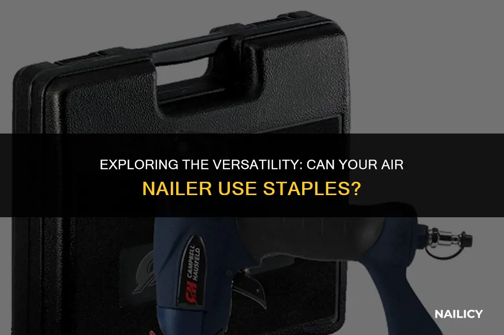 can my air nailer use staples