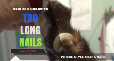 Neglecting Your Dog's Nail Health: Risks and Consequences
