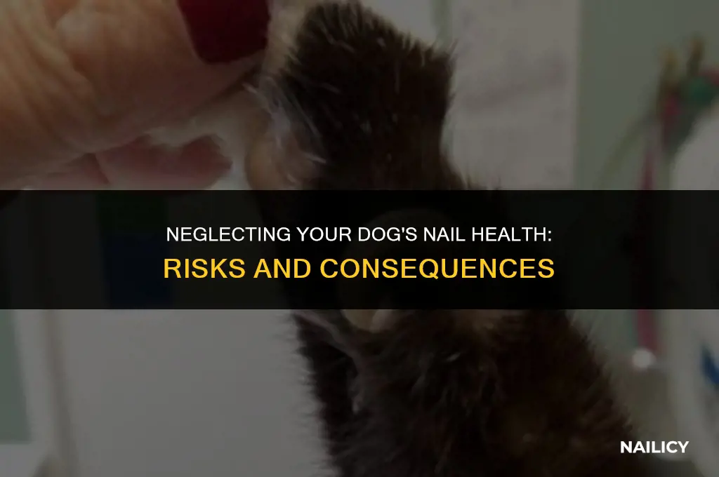 can my dog be taken away for too long nails