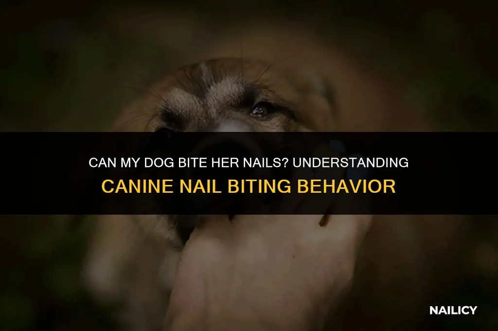 can my dog bite her nails