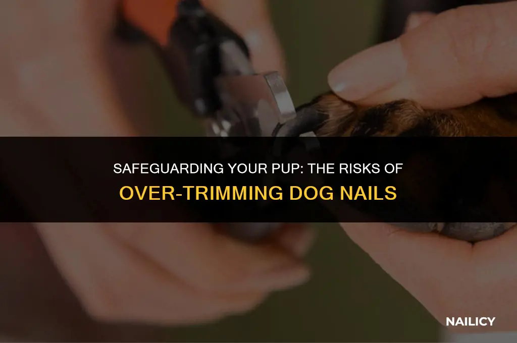 can my dog die from nail being cut to short