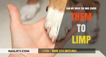 Can My Dog's Toenail Cause Them to Limp?