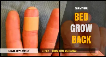 Reviving Your Nail Beds: A Guide to Healthy Growth