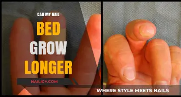 Unlocking the Potential: Can Your Nail Bed Grow Longer?