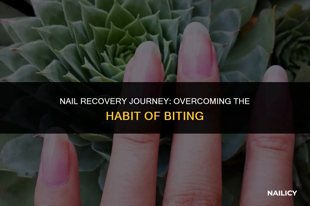 can my nails fully recover from biting