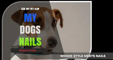 Can My Vet Clip My Dog's Nails? What You Need to Know