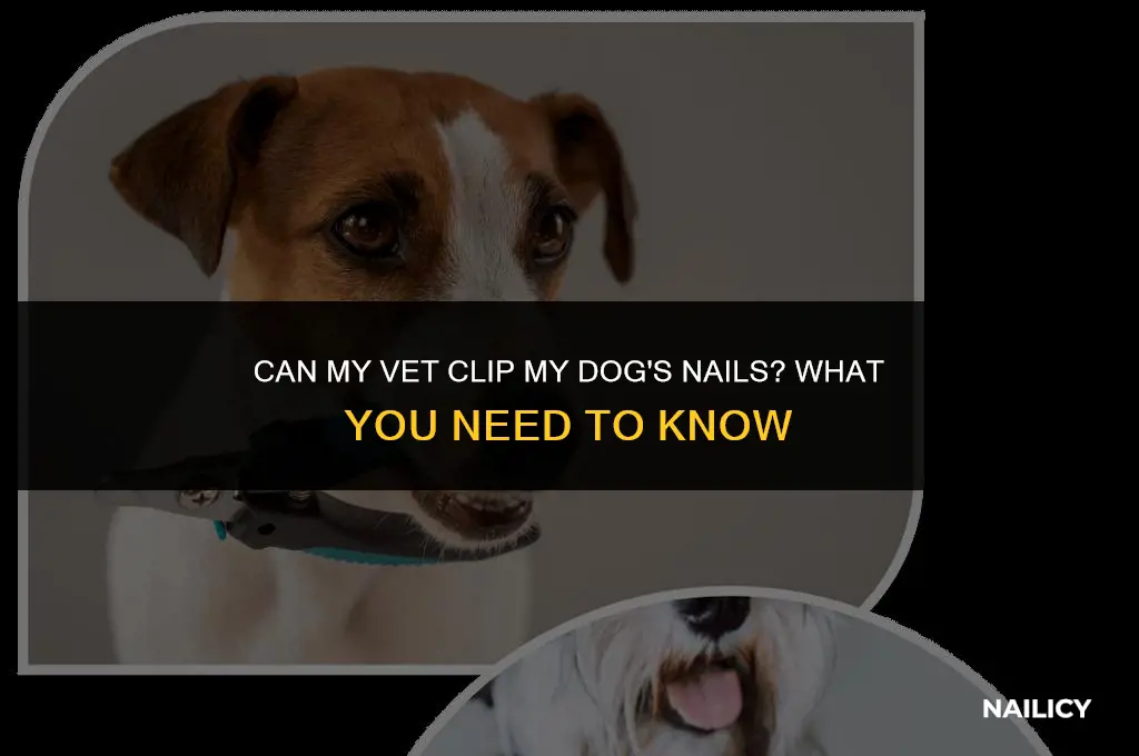 can my vet clip my dogs nails