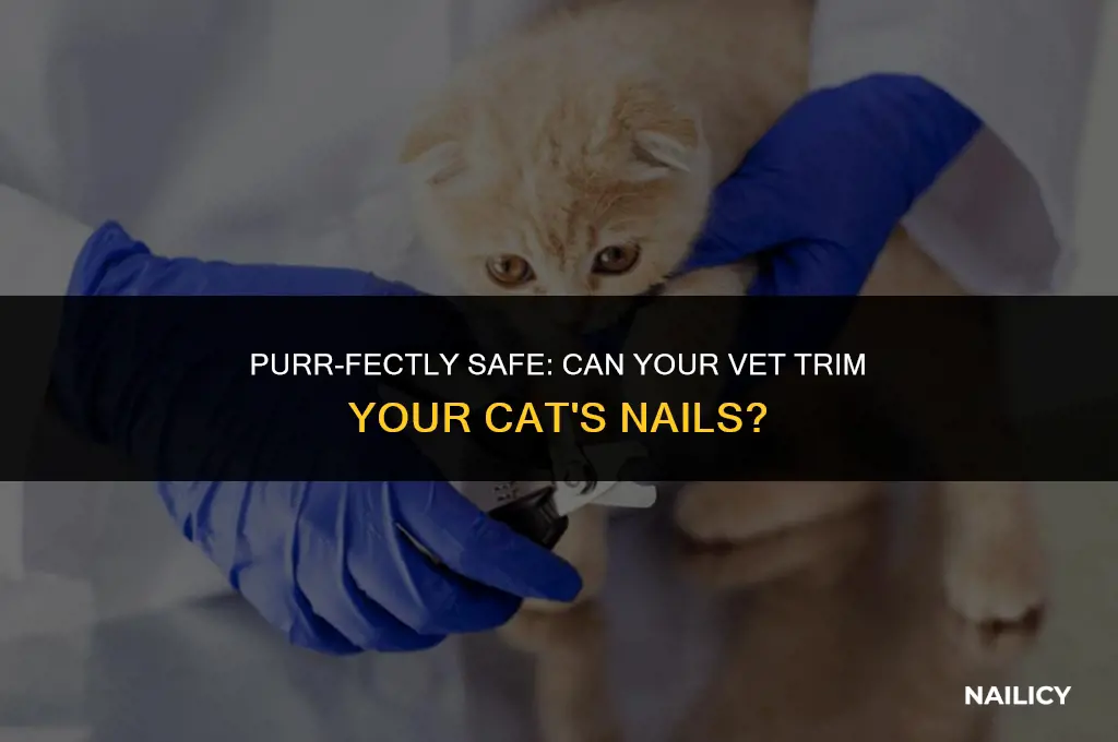 can my vet trim my cat