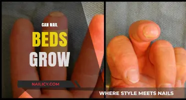 Exploring the Myth: Can Nail Beds Really Grow?