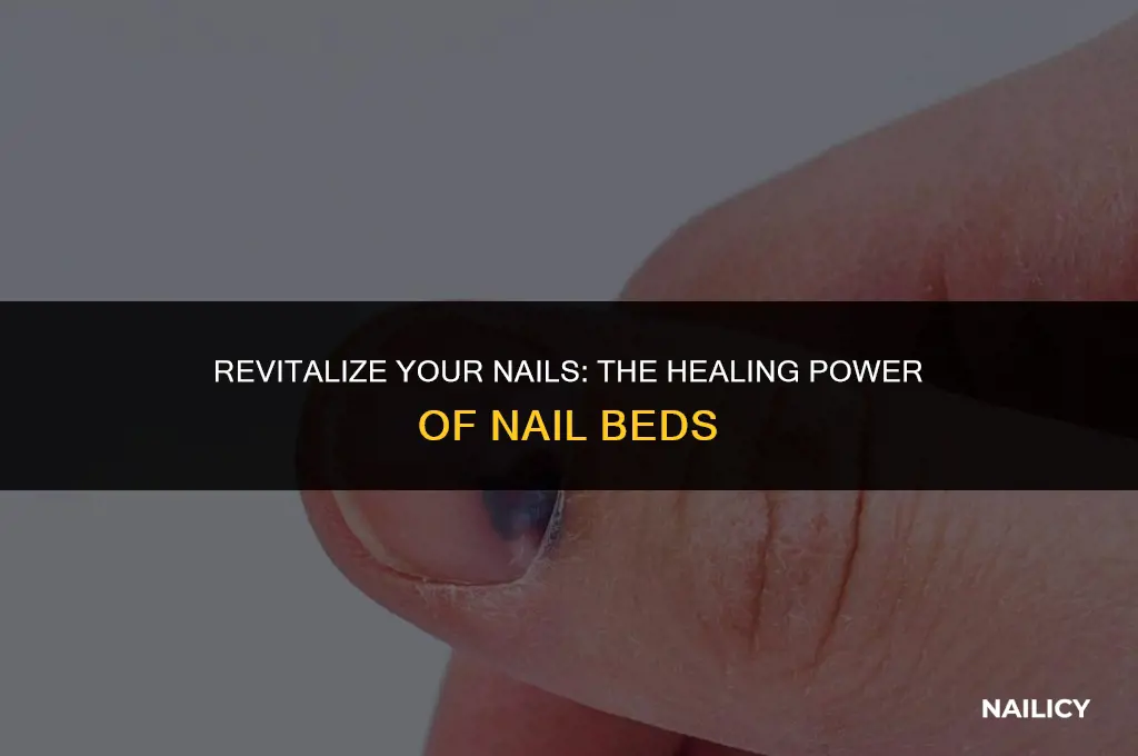 can nail beds heal