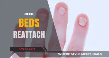 Nail Beds and Reattachment: What You Need to Know
