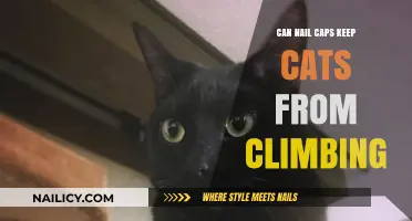 Exploring the Effectiveness of Nail Caps in Deterring Cat Climbing Behavior