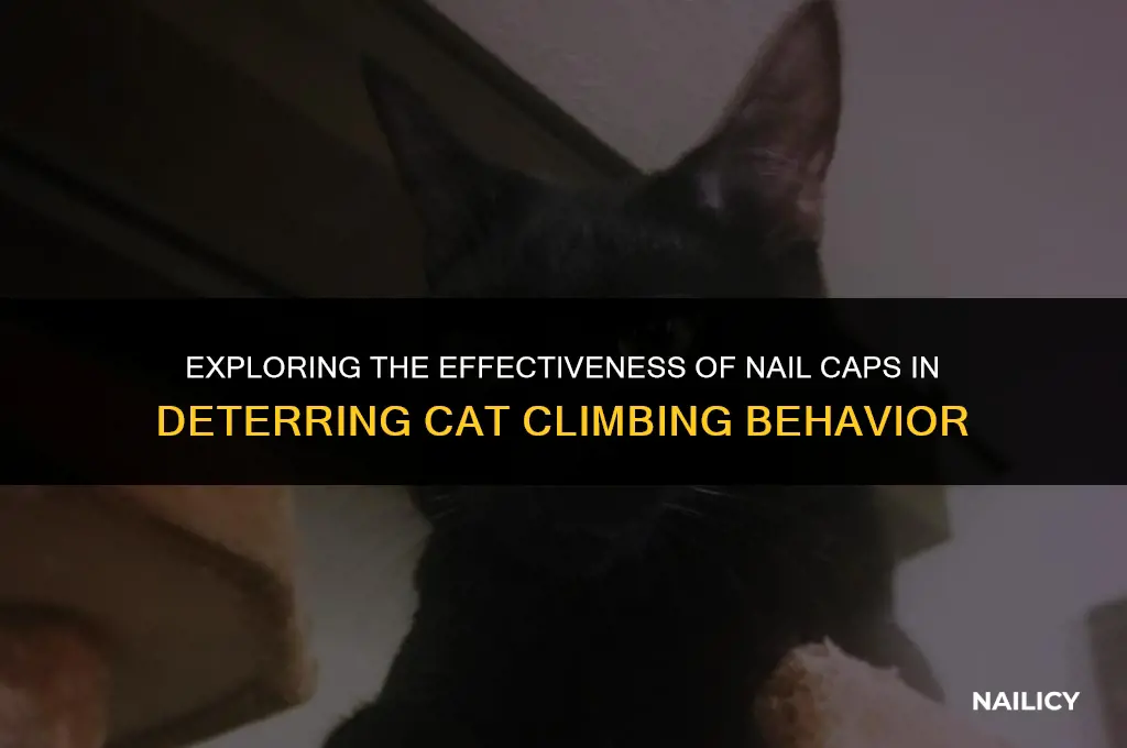 can nail caps keep cats from climbing