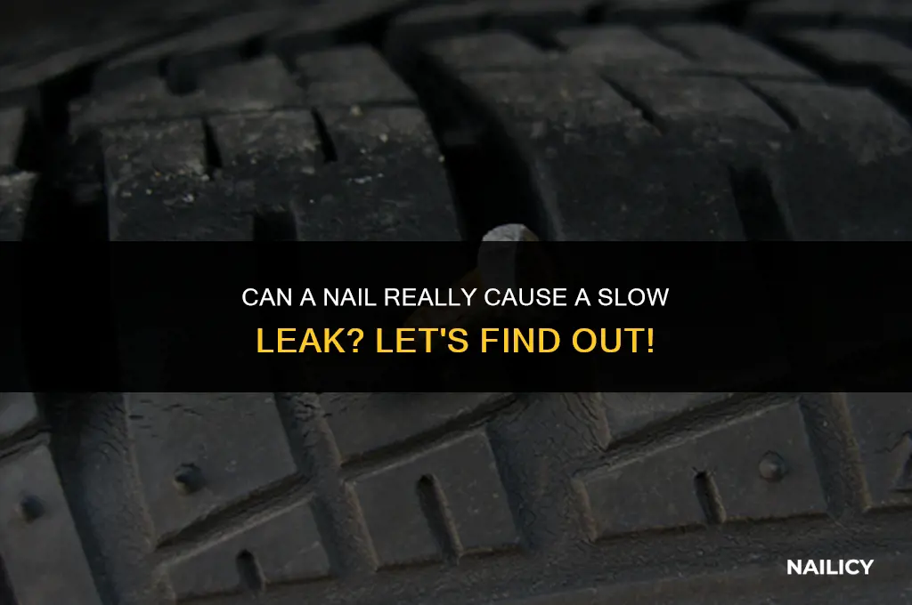 can nail causing slow leak