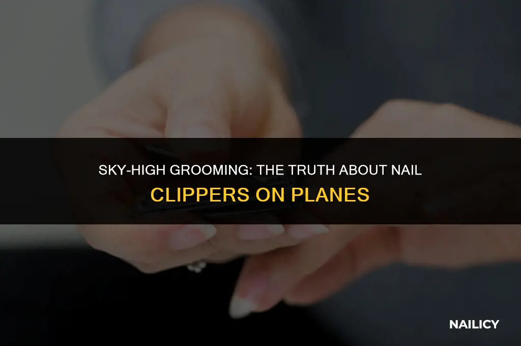 can nail clippers be brought on a plane