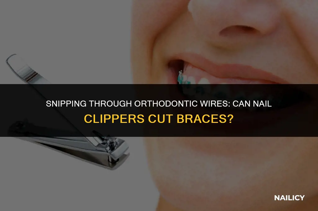 can nail clippers cut braces wire