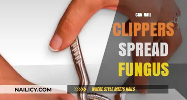 Unveiling the Truth: Can Nail Clippers Really Spread Fungus?
