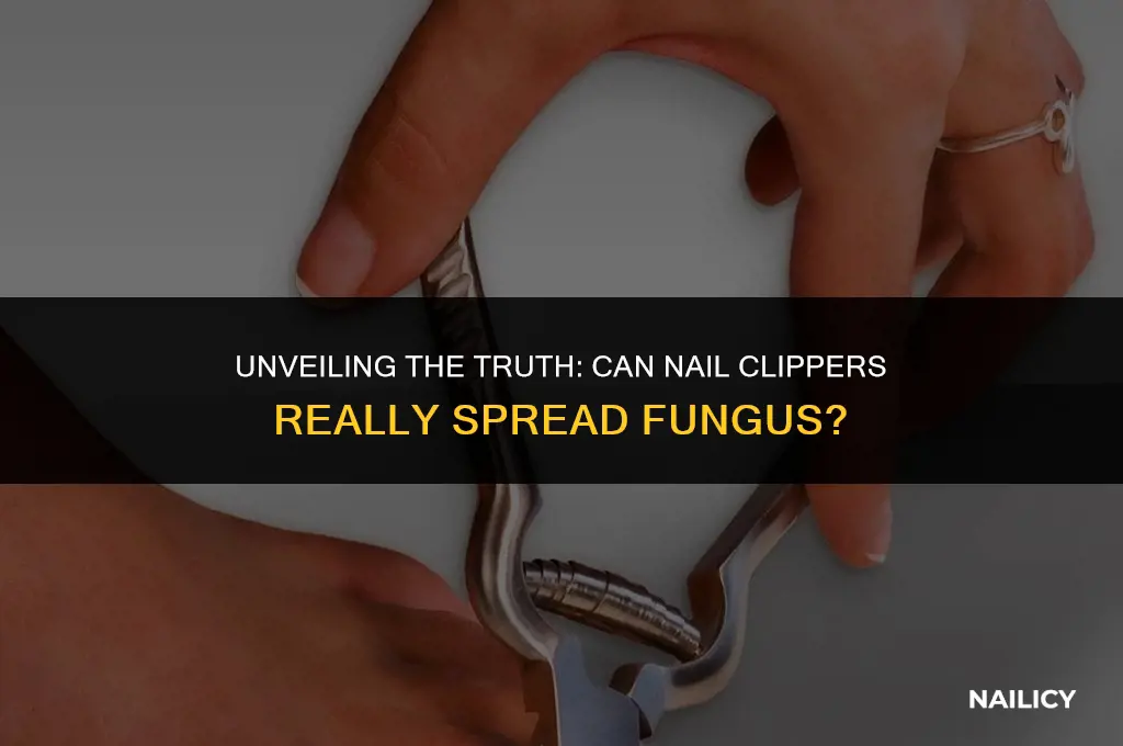 can nail clippers spread fungus