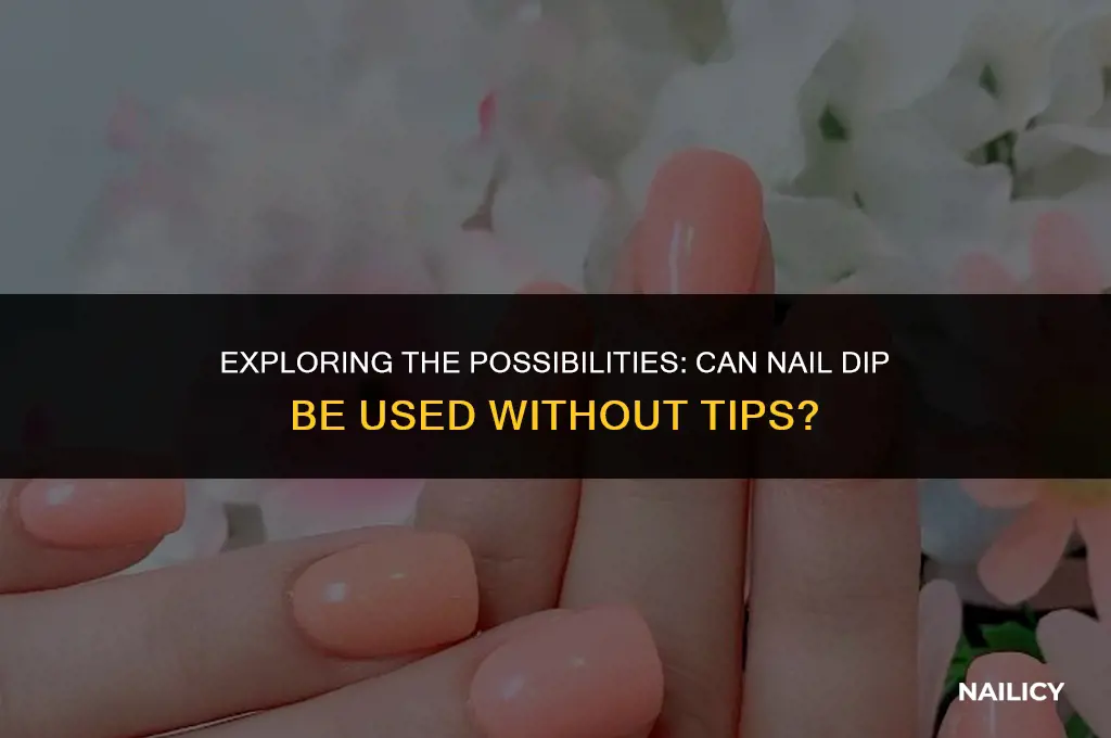 can nail dip be ised without tips