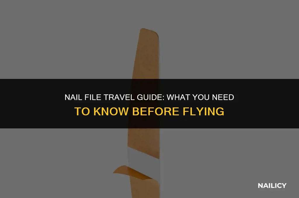 can nail file go on a plane