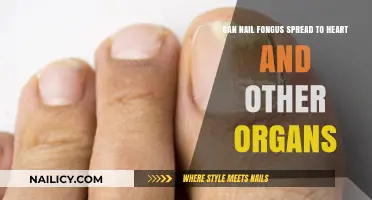 Debunking Myths: Can Nail Fungus Really Spread to Your Heart and Organs?