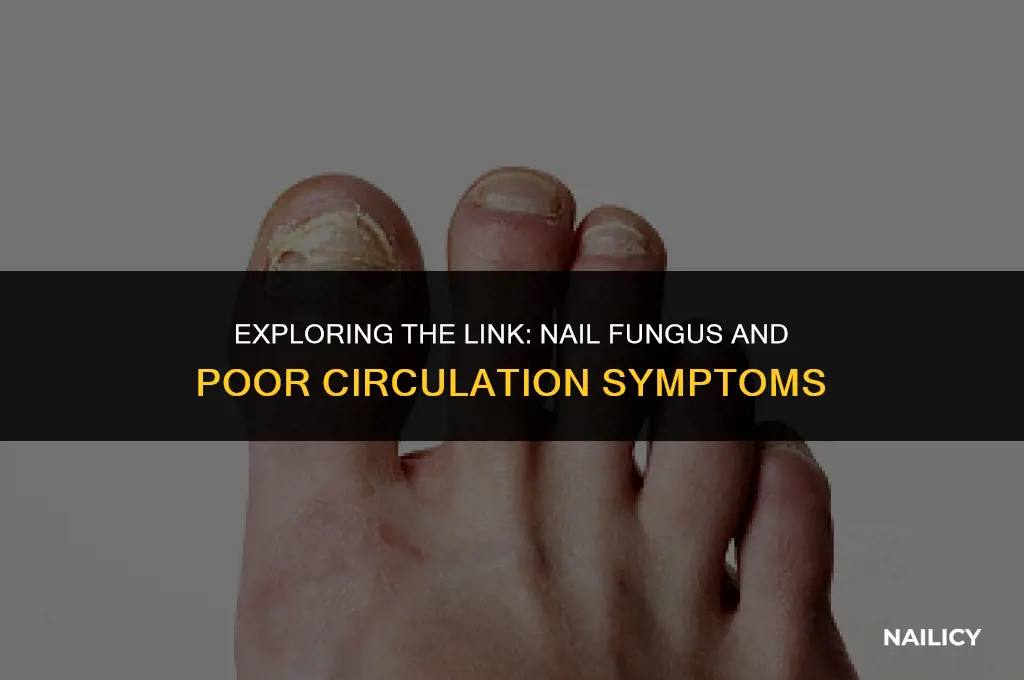 can nail fungus be a symptom of poor circulation