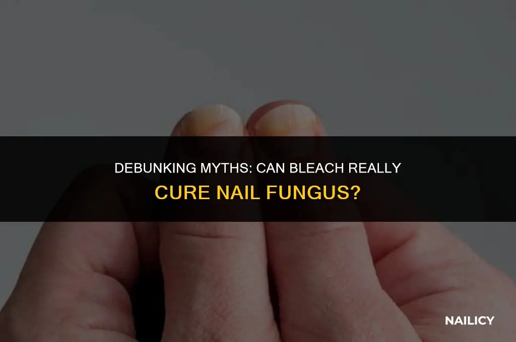 can nail fungus be cured with bleach