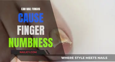 Exploring the Link: Nail Fungus and Finger Numbness Explained