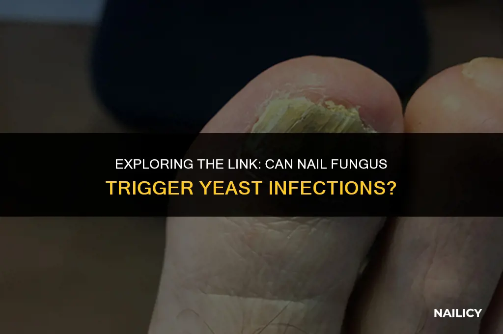 can nail fungus cause yeast infection