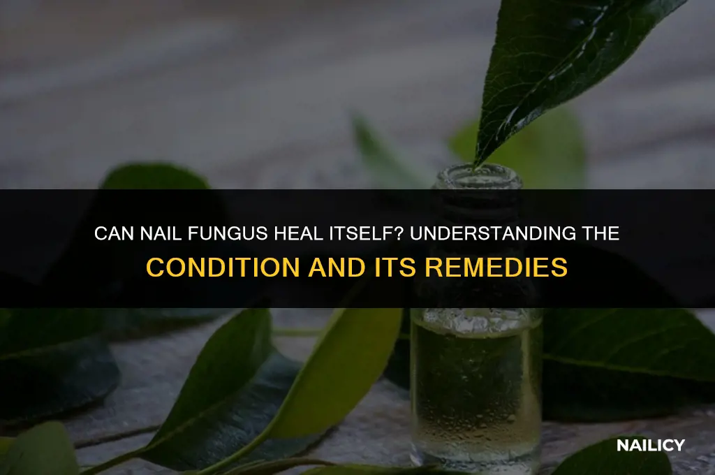 can nail fungus heal itself