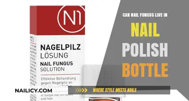 Can Nail Fungus Survive in Your Nail Polish Bottle?