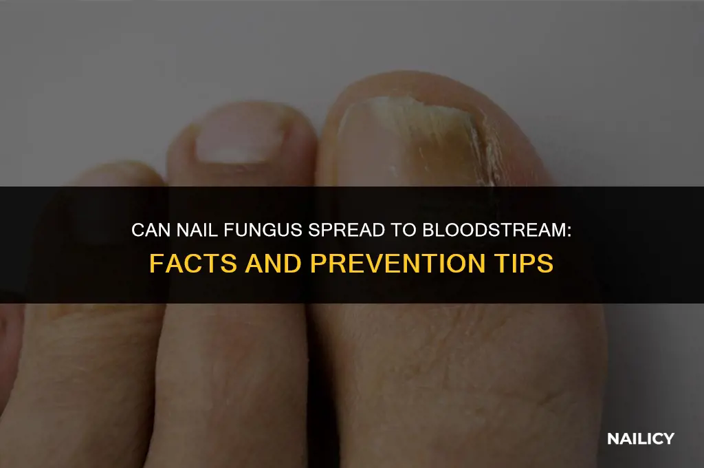 can nail fungus spread to bloodstream