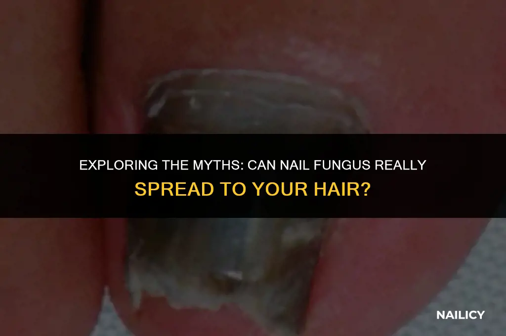 can nail fungus spread to hair