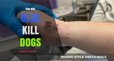 The Hidden Danger: Nail Glue Toxicity in Dogs Explained