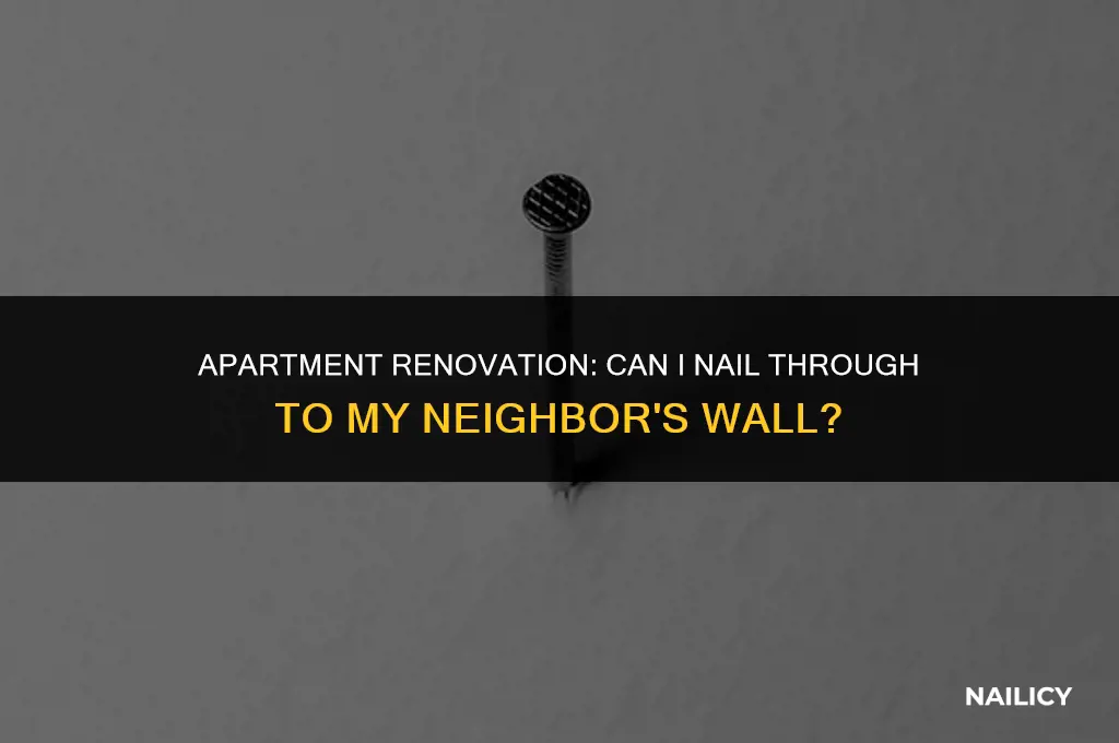 can nail go through to neighbours wall apartmetn