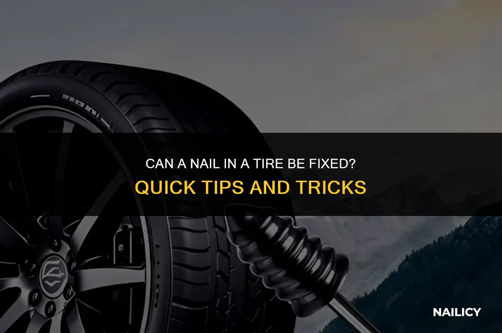can nail in tire be fixed