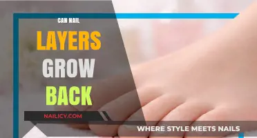 Nail Layers: Understanding the Regeneration Process