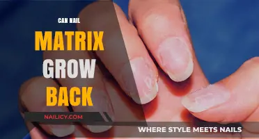 Reviving Your Nails: The Truth About Nail Matrix Regeneration